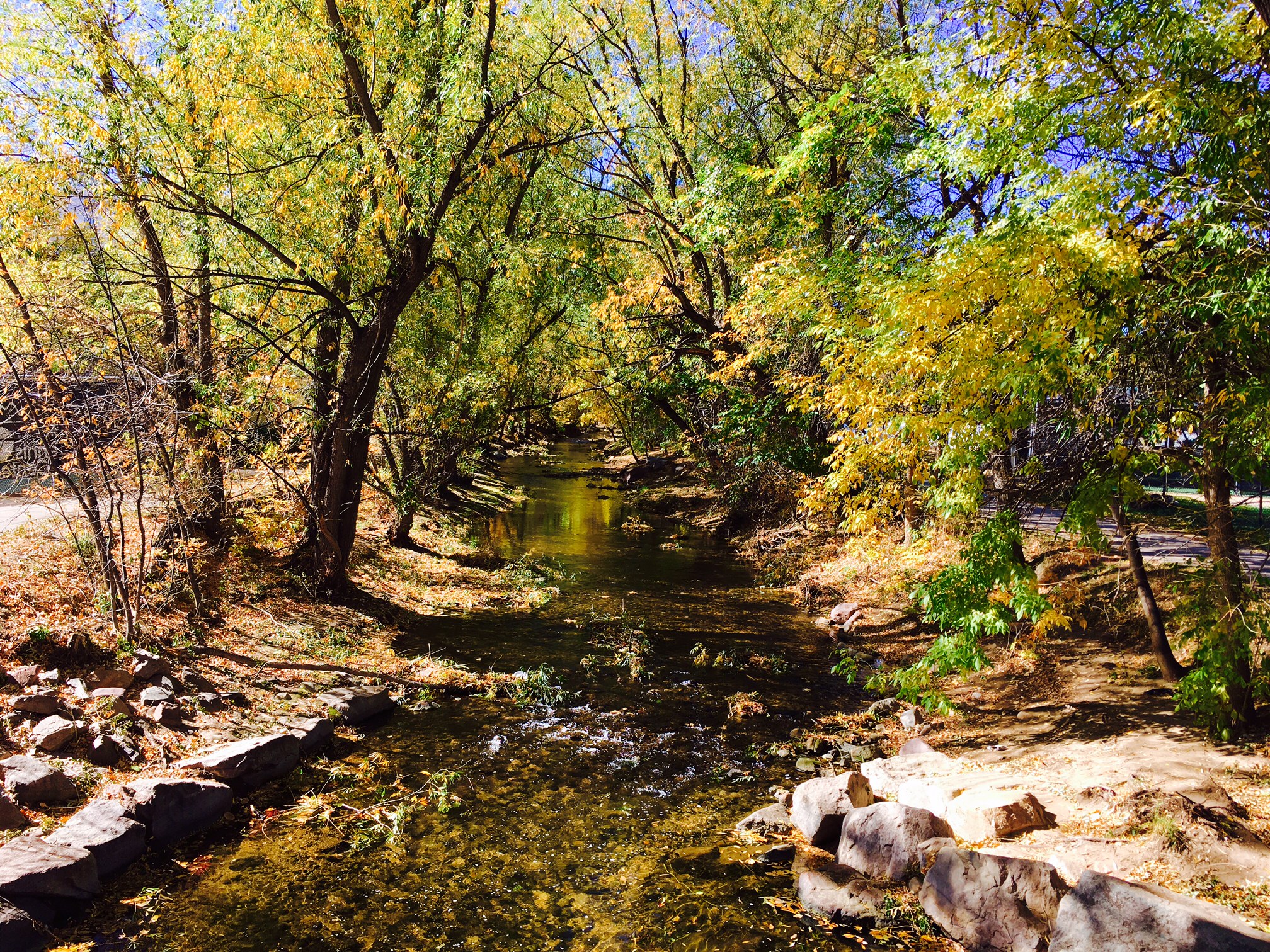 Photo of a creek running over rocks. Trees line the creek, their leaves yellow and green.